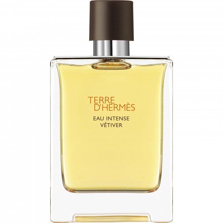 Terre D'Hermes Eau Intense Vetiver