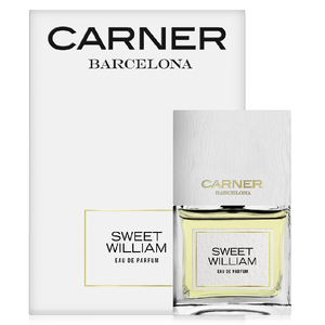Carner Barcelona Sweet William