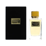 Dolce & Gabbana Velvet Ginestra