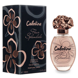 Cabotine Fleur Splendide