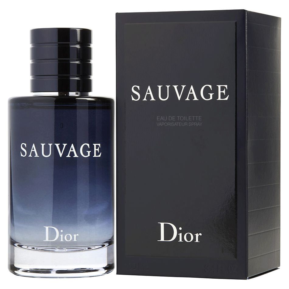 Dior sales edt homme